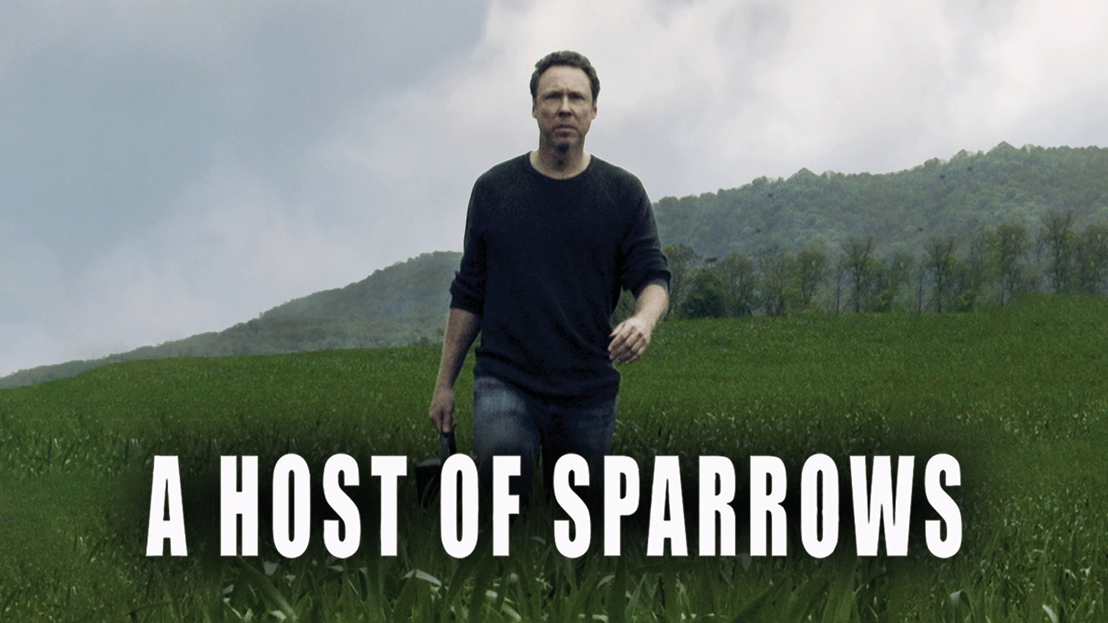 A Host Of Sparrows poster
